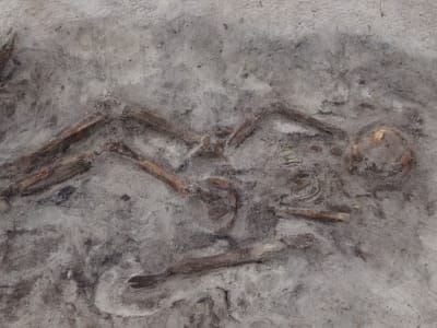 Ikatan Kuat Wanita Viking dan Anjing Peliharaan Terungkap dari Kuburan Perahu