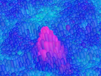 Penelitian Baru Ungkap Bahwa Ekosistem Beragam Lebih Rentan Diserang Spesies Invasif