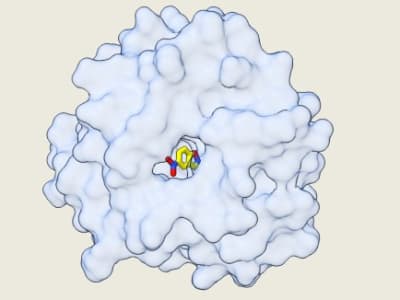 Desain Enzim Sintetis Efisien dengan Algoritma Komputer Tanpa Eksperimen Lama