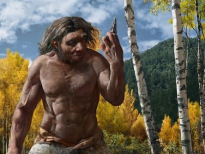 Penemuan Kranium 'Dragon Man' Ungkap Wajah Denisovan yang Misterius