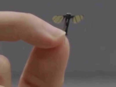 Universitas Pertahanan Cina Kembangkan Drone Miniatur untuk Misi Militer Rahasia