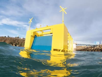 Dikwe: Gelombang Laut Kini Bukan Hanya Pelindung Tapi Juga Pembangkit Energi