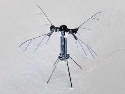 Drone Mikro Nyamuk China: Masa Depan Pengintaian dan Misi Rahasia