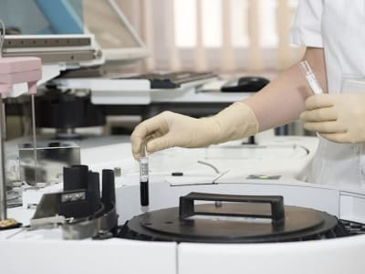 Bridge Biotherapeutics Adopsi Strategi Treasury Bitcoin Jadi Jawaban Korea Selatan