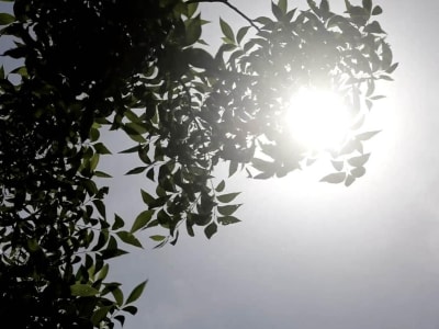 Kadar CO2 Atmosfer Terus Meningkat Tajam, Ancaman Perubahan Iklim dan Cuaca Panas