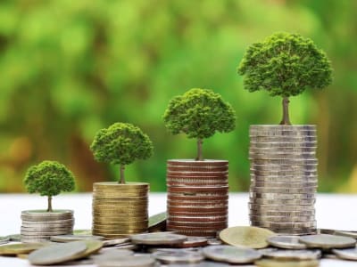 RTR Enviro: Asuransi Baru untuk Atasi Risiko Biaya Remediasi Lingkungan