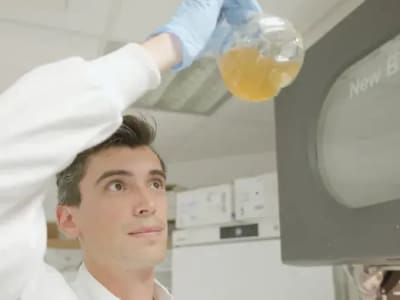 Mengubah Sampah Plastik Jadi Obat Paracetamol Ramah Lingkungan Dengan Bakteri