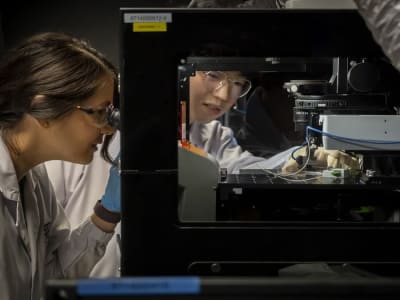 Inovasi DECIPHER: Membalikkan Jam Biologis Jantung Lewat Matrik Ekstraseluler