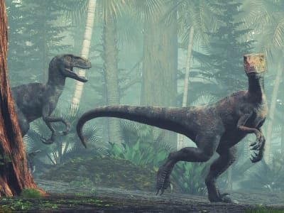 Penelitian Baru Ungkap Dinosaurs Lebih Lambat Dari yang Diperkirakan