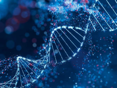 Google Launches AlphaGenome: AI Revolutionizes DNA Mutation Analysis