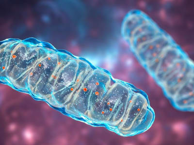 Metode Baru Sunting DNA Mitokondria Bisa Sembuhkan Penyakit Genetik Serius