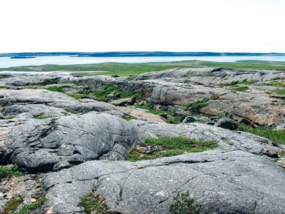 Batuan Tertua di Bumi Ditemukan di Quebec Berusia 4,16 Miliar Tahun
