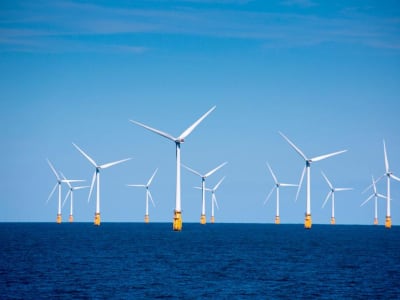 Dampak Kebijakan Trump: Startup Energi Bersih Terancam dan Pindah ke Eropa