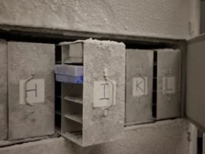 Menyelamatkan Mikroba dari Feses untuk Masa Depan Sehat dan Lingkungan Terjaga