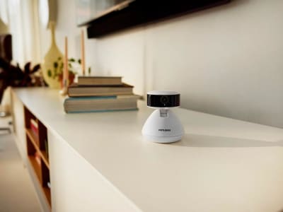 Petlibro Luncurkan Scout Kamera Pintar AI untuk Awasi Hewan Peliharaan Anda