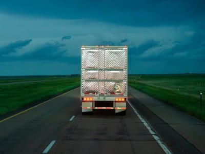 Cara Pintar Mengelola Reefer untuk Hemat Biaya dan Jaga Mutu Produk