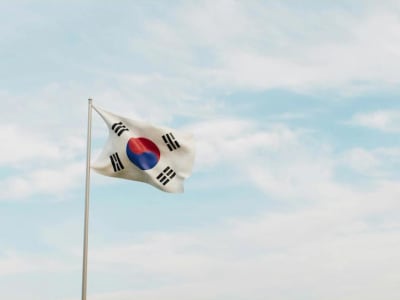 Saham Circle Melonjak 500% Berkat Dorongan Investasi dan Kebijakan Baru Korea