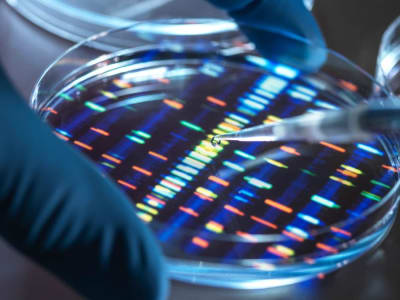Proyek Sintesis DNA Manusia Pertama di Dunia Dibuat untuk Temukan Pengobatan Baru