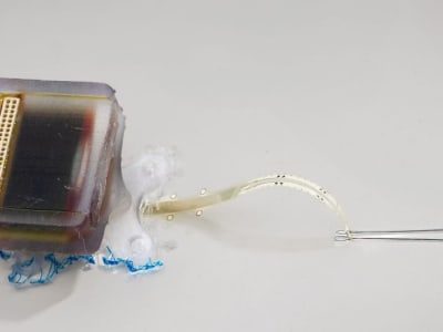 Implan Listrik Mini Pulihkan Gerakan Setelah Cedera Sumsum Tulang Belakang