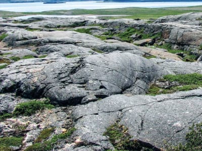 Penemuan Batuan Tertua di Dunia Berusia 4,16 Miliar Tahun di Kanada