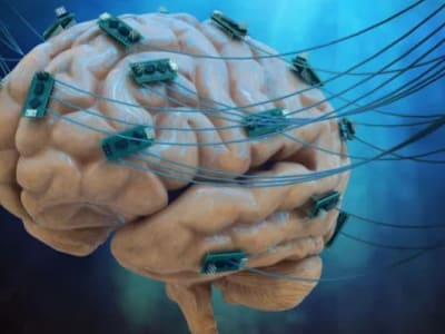 Stimulasi Otak Non-Invasif Tingkatkan Kemampuan Matematika Mahasiswa