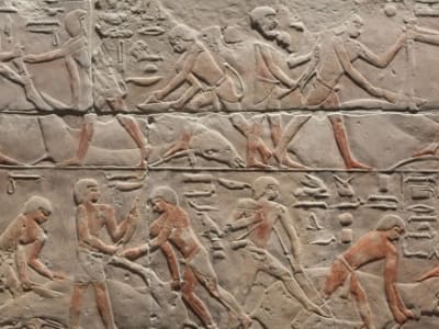 Penemuan Genom Lengkap Manusia dari Kerajaan Lama Mesir Pertama Kali