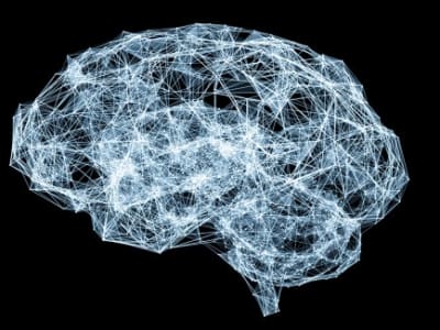 AI Centaur: Sistem Cerdas Prediksi Pilihan Manusia Lebih Luas dan Akurat