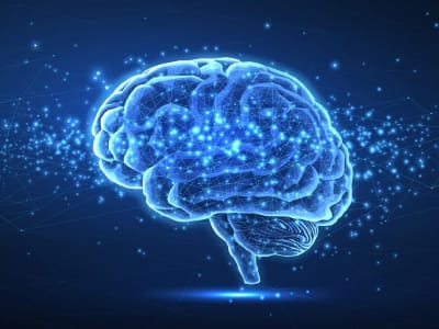 Centaur: AI Baru yang Bisa Memprediksi Setiap Langkah Pikiran Manusia