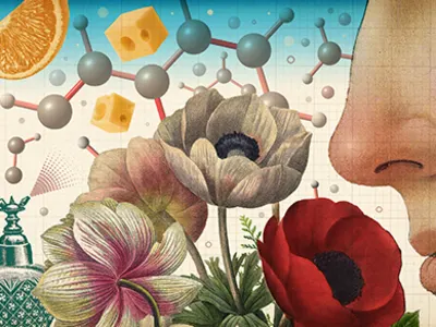 Mengungkap Rahasia Indra Penciuman Manusia yang Sering Diremehkan