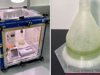 Inovasi Habitat Mars: Alga dalam Bioplastik untuk Tempat Tinggal Mandiri