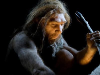 Neanderthal Telah Mengolah Lemak Dari Tulang 125.000 Tahun Lalu