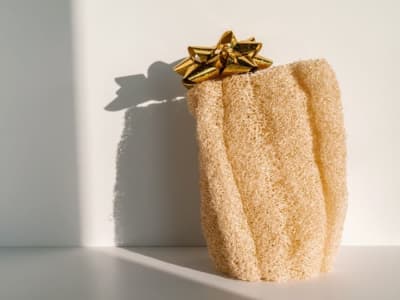 Polimer Sintetis Baru Terinspirasi Spons Loofah Bisa Basah dan Kaku Sesuai pH