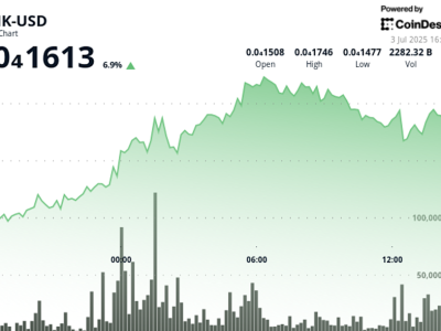 BONK Memimpin Reli Altcoin Dengan Kenaikan Harga dan Peluncuran ETF Leverage