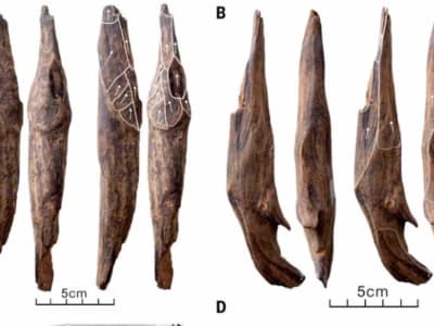 Penemuan Alat Kayu Kuno di Yunnan Ungkap Zaman Kayu Manusia