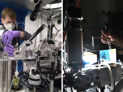 Penemuan Baru Katalis Ni Dengan Cahaya untuk Gantikan Palladium Mahal