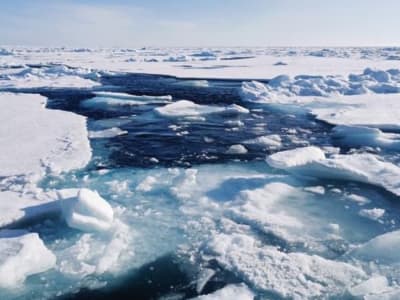 Penemuan Baru: Laut Arktik Tidak Pernah Tertutup Es Tebal Selama Zaman Es