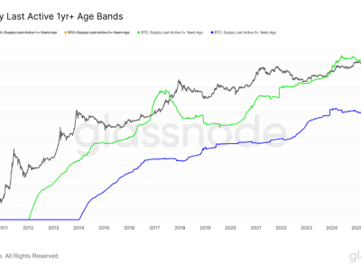 Perilaku Pemegang Jangka Panjang Bitcoin dan Pengaruhnya pada Harga BTC