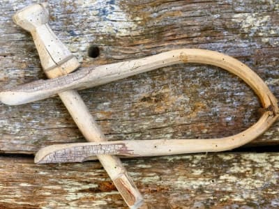 Penemuan Alat Kayu Tertua Ungkap Teknologi Canggih Manusia Purba Asia Timur