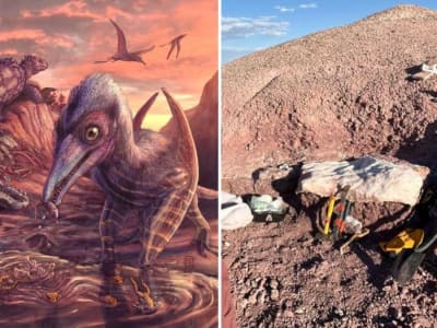 Penemuan Pterosaurus Tertua di Amerika dan Ekosistem Langka Trias di Arizona