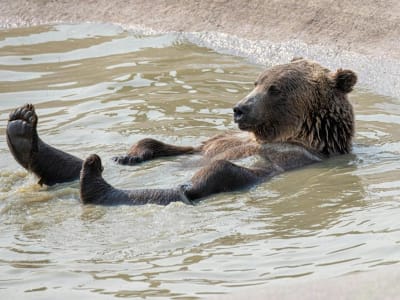 Trader Hyperliquid Leverage Tinggi Rugi Besar Akibat Strategi Short BTC dan ETH