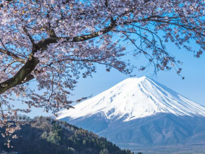 Metaplanet Perbesar Investasi Bitcoin dengan Strategi Khusus dan Metrik Inovatif