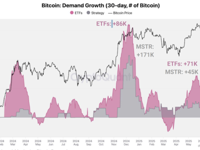 Mengapa Harga Bitcoin Belum Tembus Rekor Meskipun Ada Pembelian Besar Institusional?