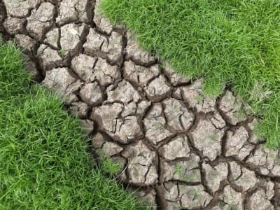 Perubahan Iklim dan Ancaman Kekeringan pada Produksi Semikonduktor Global