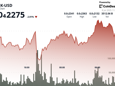 BONK Token Memecoin Naik Drastis, Jadi Terbesar Keempat di Dunia