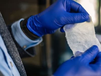 Inovasi Lembaran Selulosa Bakteri Pengganti Plastik yang Kuat dan Ramah Lingkungan