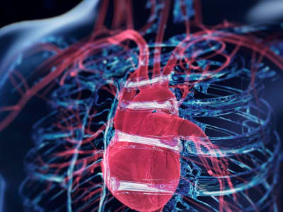 Inovasi 3D Printing dan Operasi Kompleks Selamatkan Pria dengan Aorta Membesar