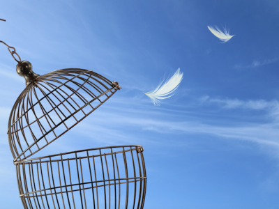 Harga Cryptocurrency Melonjak Didukung Sentimen Positif dan Momentum Regulasi Baru