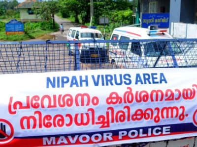 Terapi Antibodi Gabungan Terobosan Baru Melindungi dari Virus Nipah Mematikan
