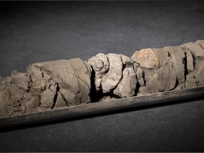 Penemuan Fosil Dinosaurus Tertua di Denver dari Proyek Energi Geotermal