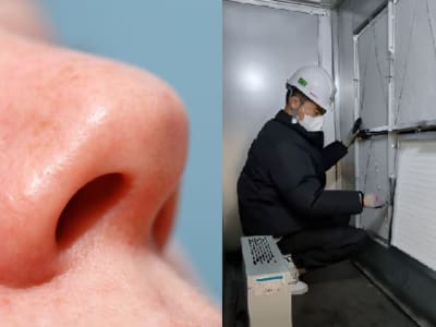 Filter Udara Baru Tiru Lendir Hidung untuk Tangkap Debu Lebih Efektif